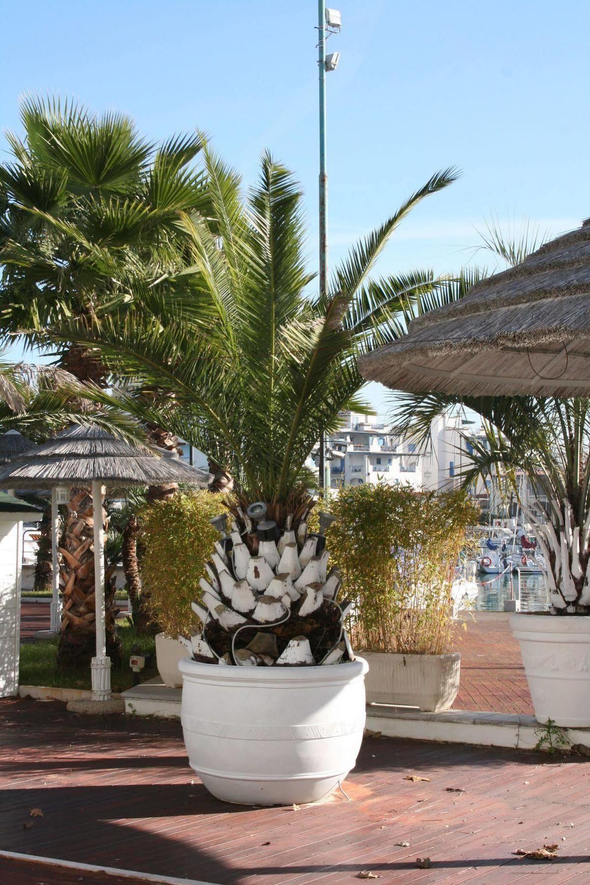 Portoverde Holiday Village 미사노아드리아티코 외부 사진